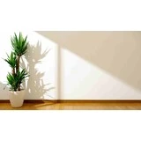 Štuková omietka Biela stena s jemnou štukovou omietkou s kvetom a drevenou podlahou