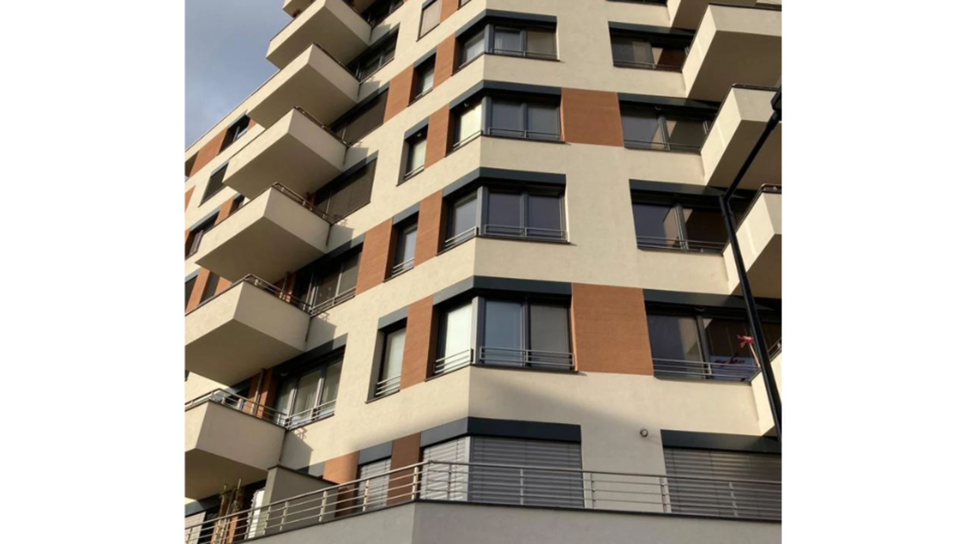 Zlaté Krídlo Zlaté Krídlo