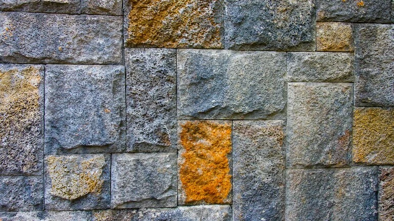 Mikroorganizmy Mikroorganizmy